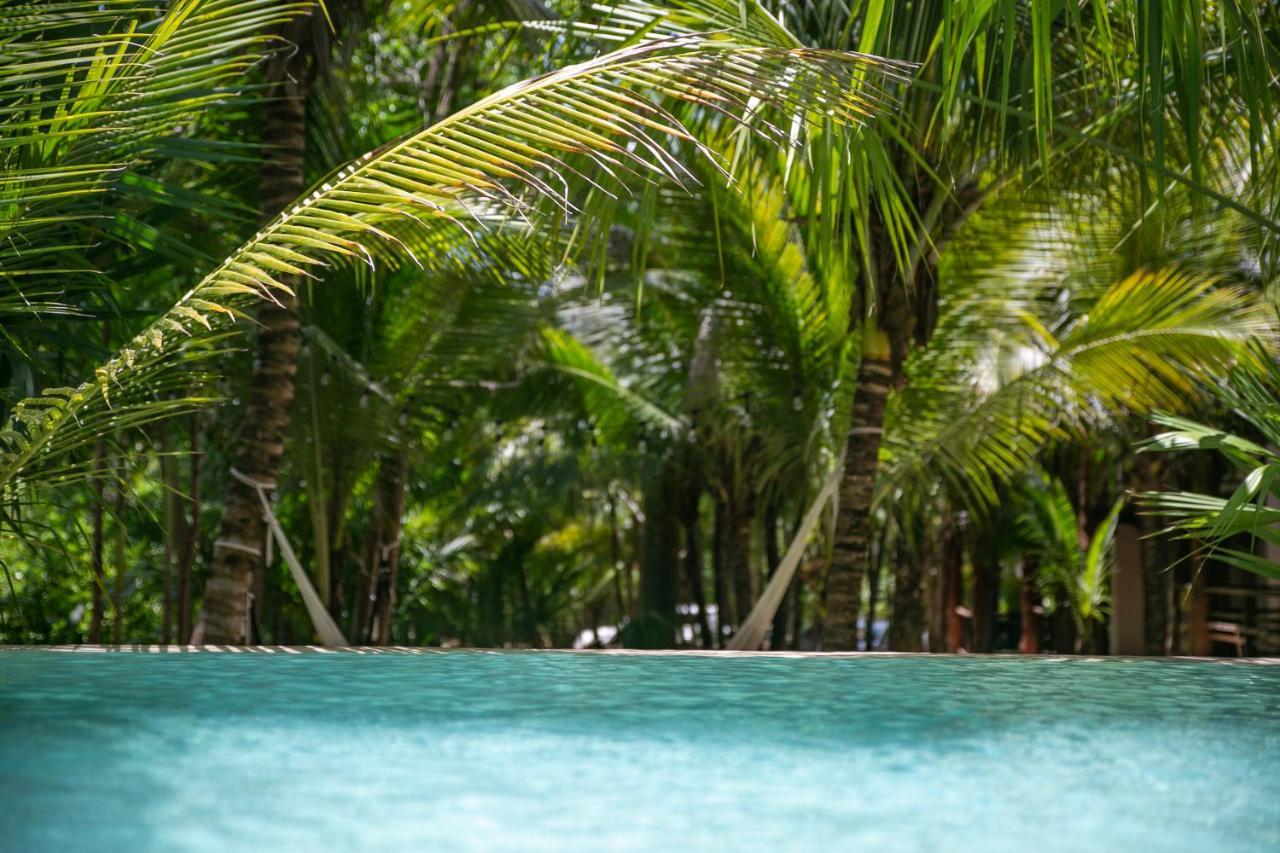 Hotel Buenavista Bacalar Jungle Experience Extérieur photo
