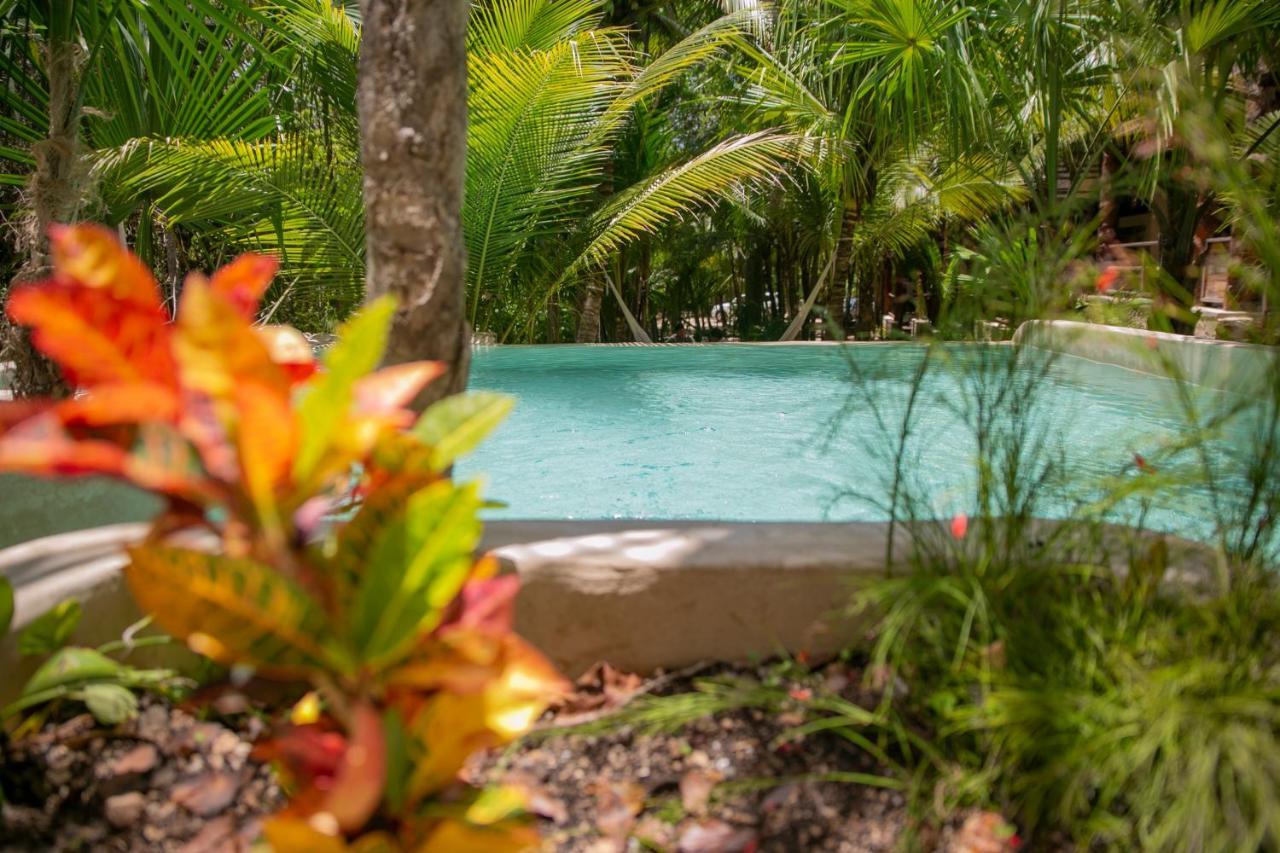 Hotel Buenavista Bacalar Jungle Experience Extérieur photo